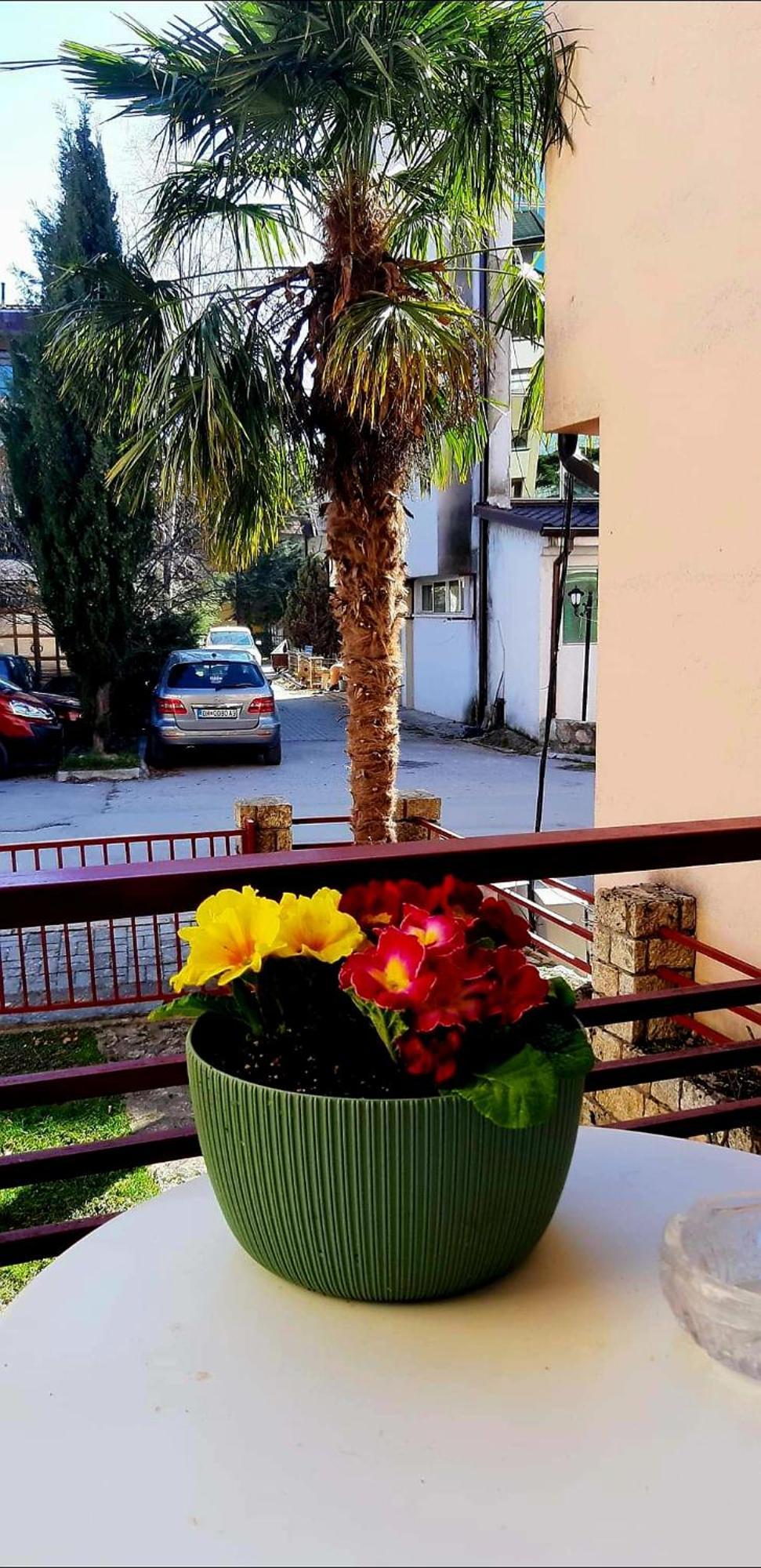 Vn Apartments Ohrid Bagian luar foto